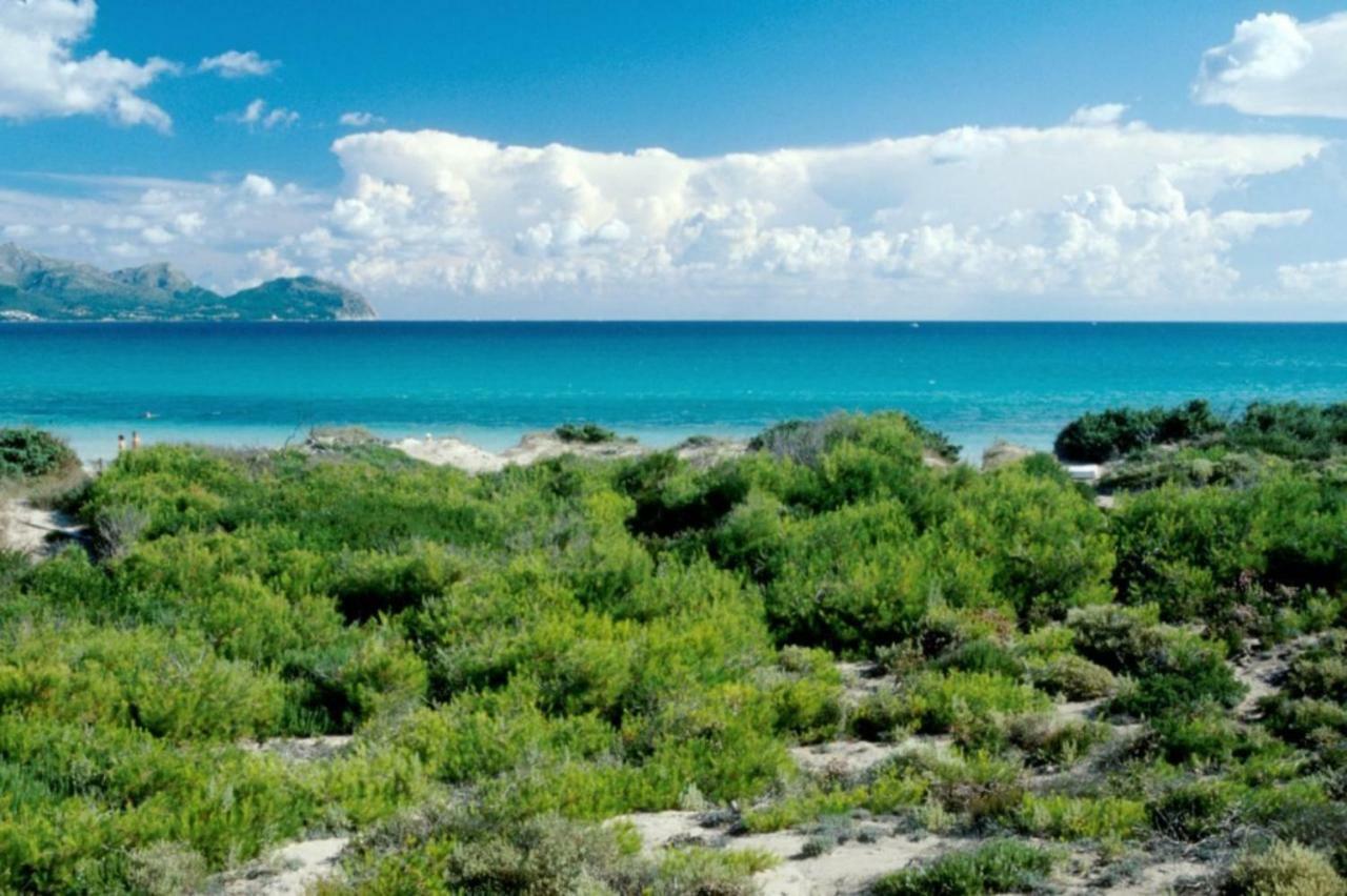 Apartmán Curling Port d'Alcúdia Exteriér fotografie